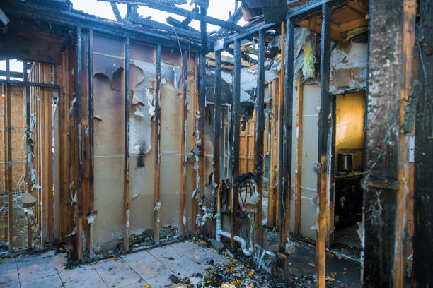 Professional Smoke Damage Removal technician working in Bloomfield, MO